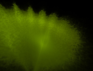 Similar image 22387517