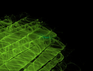 Similar image 22387341