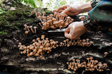 Similar image 22354670