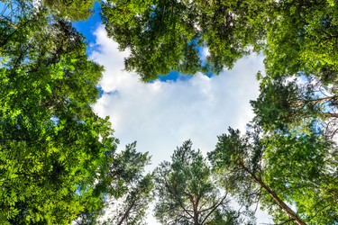 Similar image 22354673