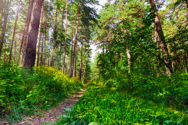 Similar image 22354676