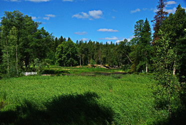 Similar image 22354754