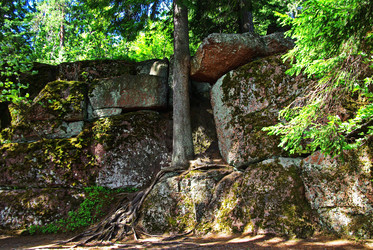 Similar image 22354756