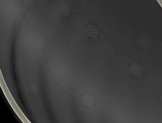 Similar image 22387483