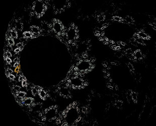 Similar image 22380642