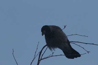 Similar image 22354663