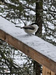 Similar image 22354664