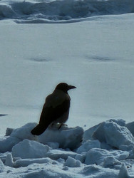 Similar image 22354667