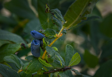 Similar image 22360080