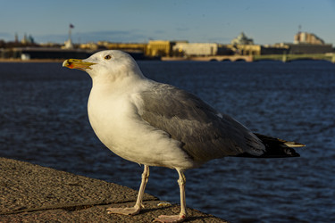 Similar image 22360096