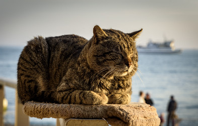 Similar image 22360099