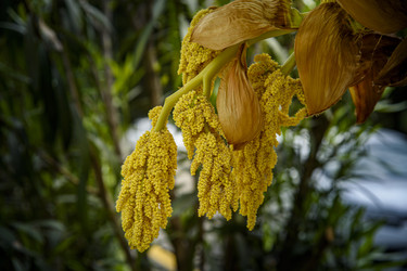 Similar image 22360102