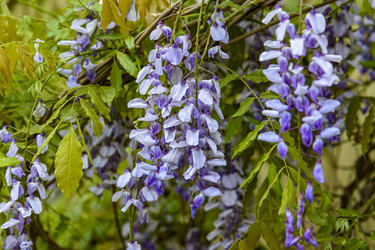 Similar image 22360103