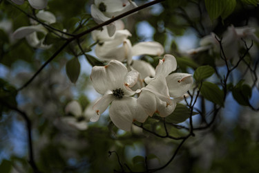 Similar image 22360104