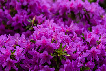 Similar image 22357062