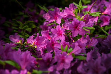 Similar image 22357064