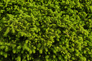 Similar image 22356376