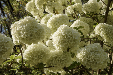 Similar image 22356378