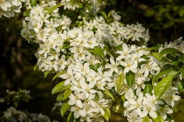 Similar image 22356379