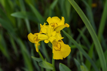 Similar image 22356381