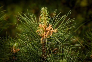 Similar image 22356382