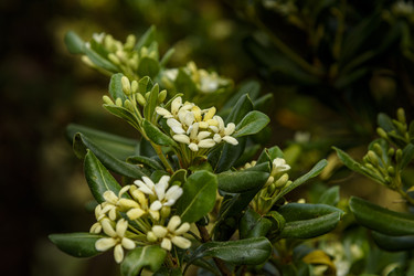 Similar image 22356384