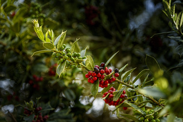 Similar image 22356385