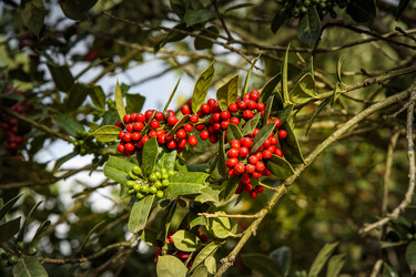 Similar image 22356387