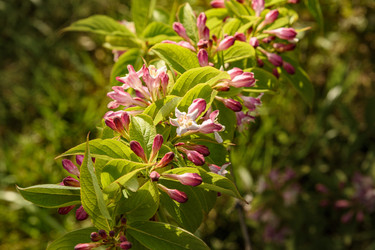 Similar image 22356460