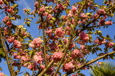 Similar image 22356461