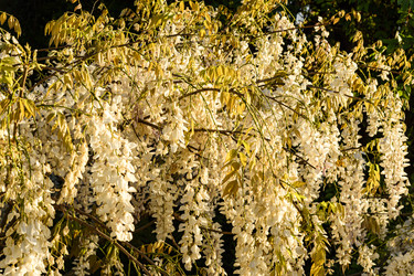 Similar image 22356463