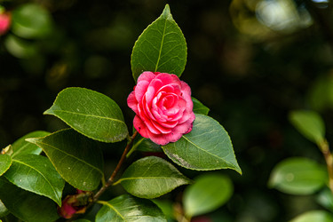 Similar image 22356465