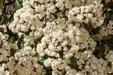 Similar image 22356467