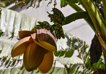 Similar image 22356468