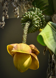 Similar image 22357051