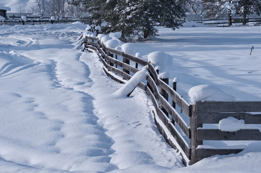 Similar image 22362600