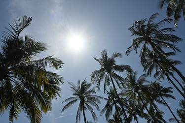 Similar image 22359871