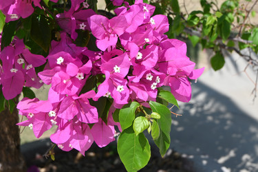 Similar image 22359872