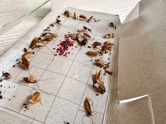 Similar image 22355163