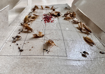 Similar image 22355164