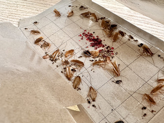 Similar image 22355165