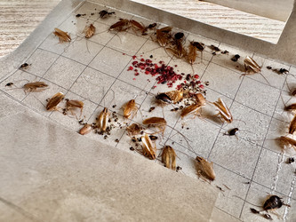 Similar image 22355166