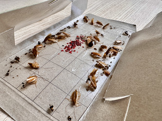 Similar image 22355233