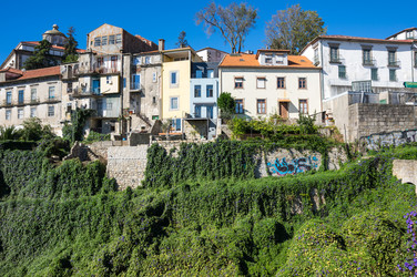 Similar image 22365411