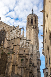 Similar image 22365487