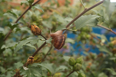 Similar image 22355262