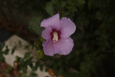 Similar image 22355263