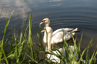 Similar image 22355269