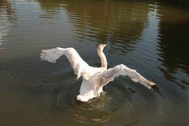 Similar image 22355272