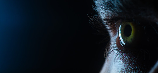 Similar image 22357016